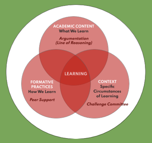 Content, Context, and Formative Practice: Integrating Peer Reflection ...